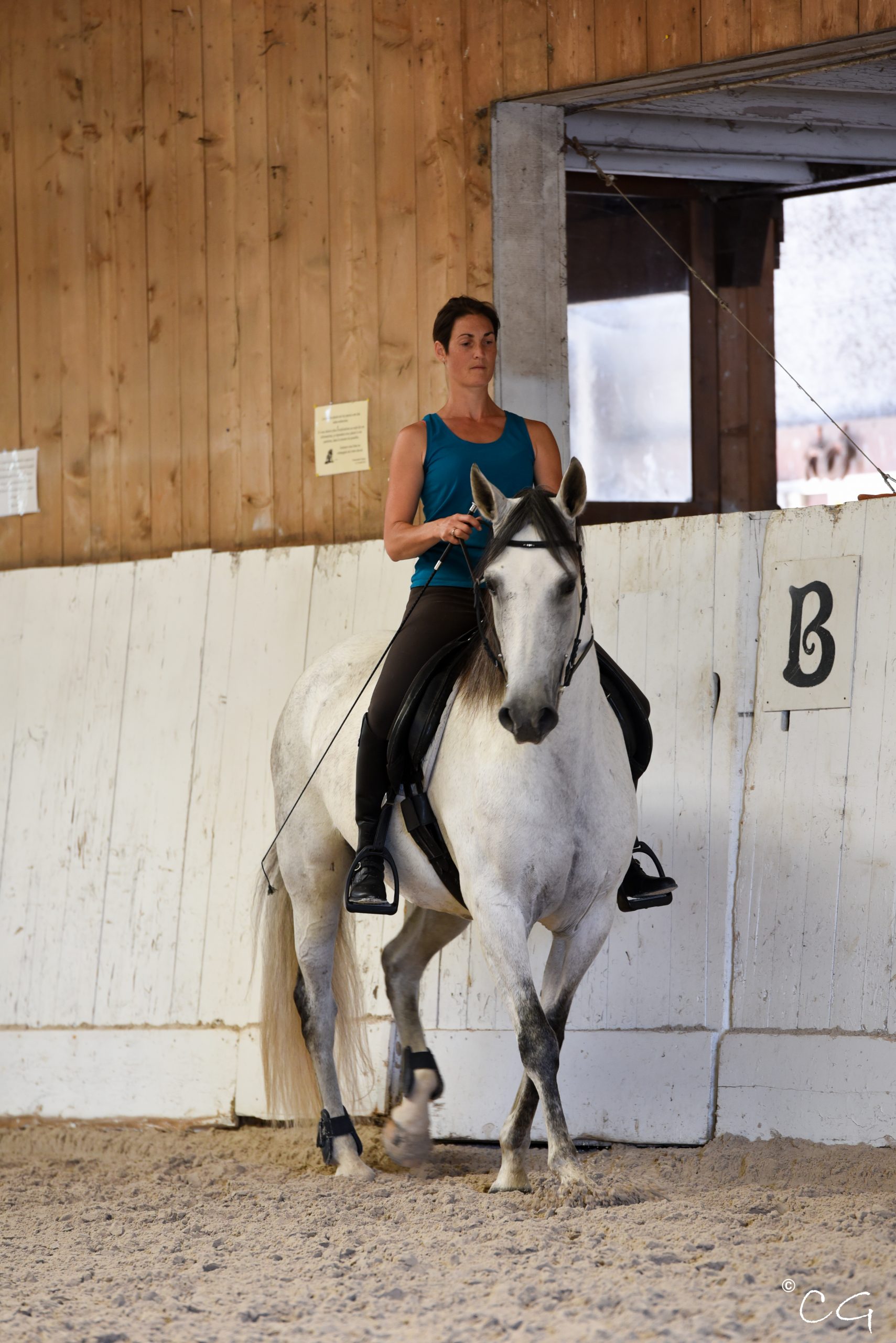 Cours d'équitation — La Grange du Theil